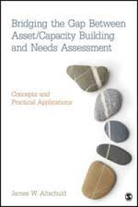 Bridging the Gap Between Asset/ Capacity Building and Needs Assessment