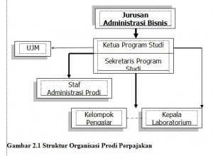 so perpajakan