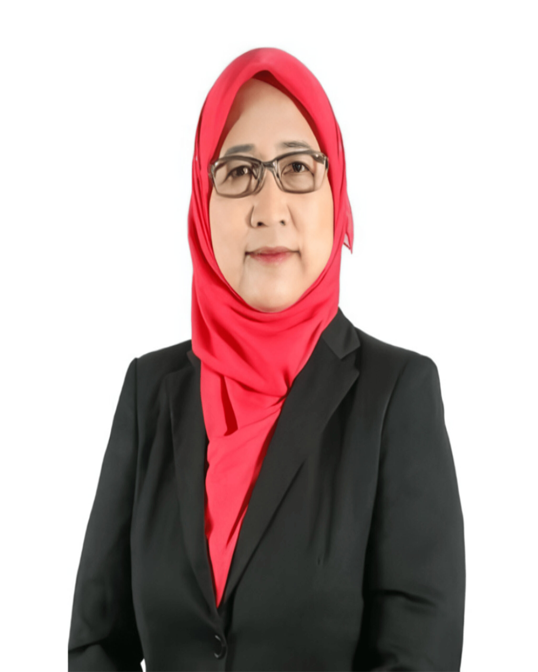Professor Noor Ismawati Jaafar