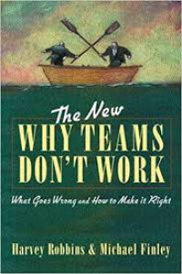 The New  Why Teams Don't Work